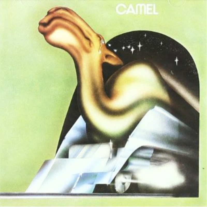Camel/Product Detail/Rock/Pop