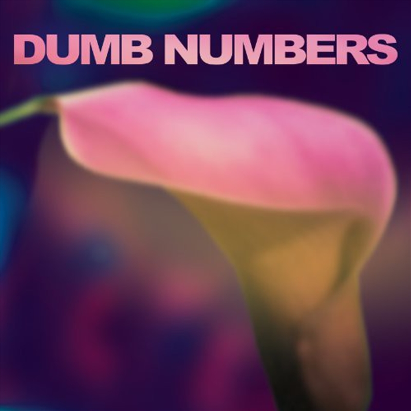 Dumb Numbers/Product Detail/Rock/Pop