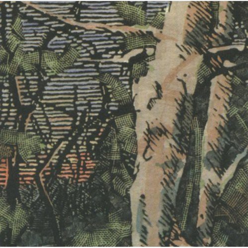 Asleep Many Years In The Wood/Product Detail/Country