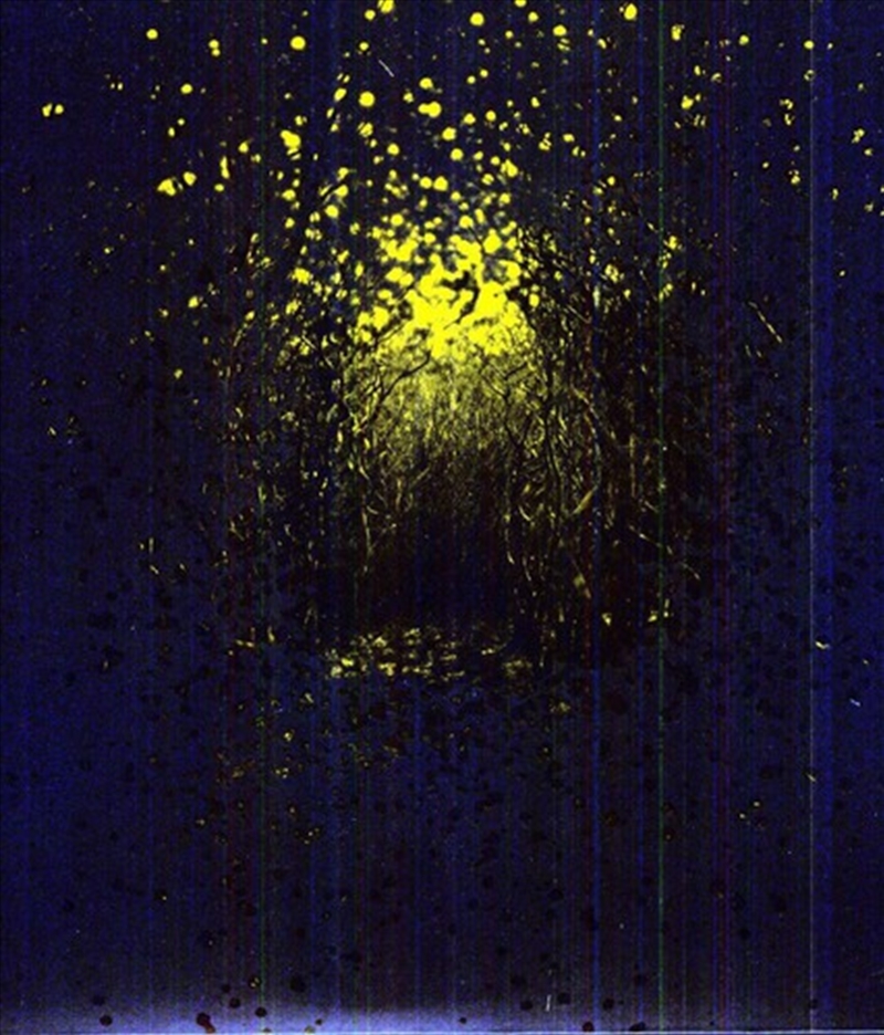 Burst Apart/Product Detail/Rock/Pop