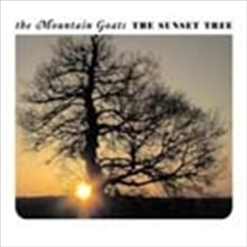 Sunset Tree/Product Detail/Alternative