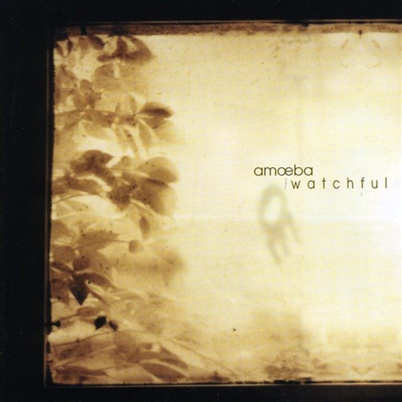 Watchful/Product Detail/Rock/Pop