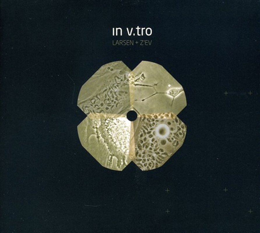 In Vtro/Product Detail/Pop