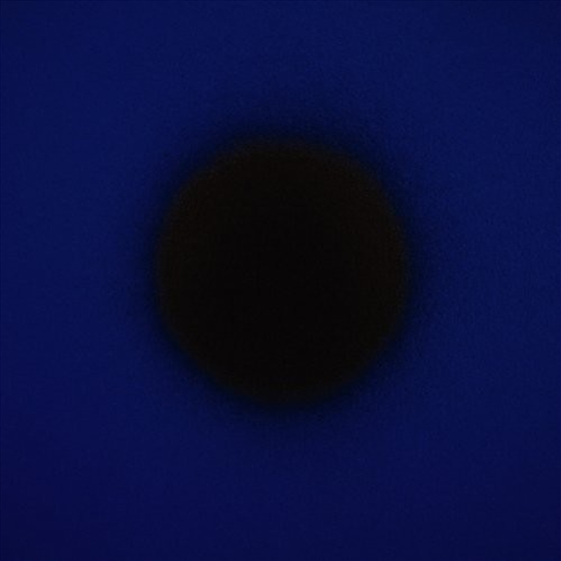 Last Train To Party/Product Detail/Dance