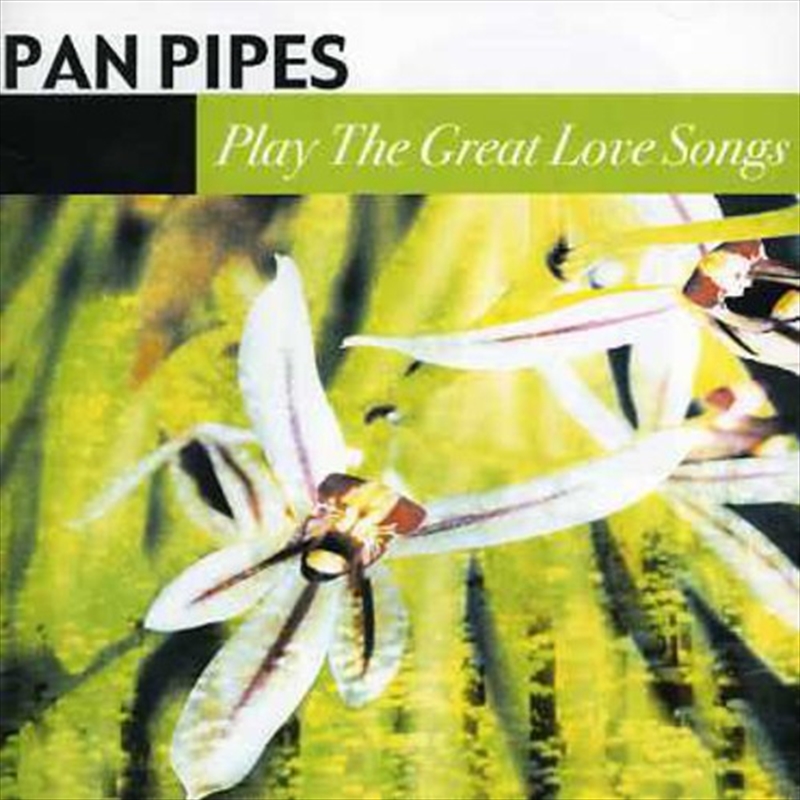 Panpipes Play The Great Love Songs/Product Detail/Easy Listening