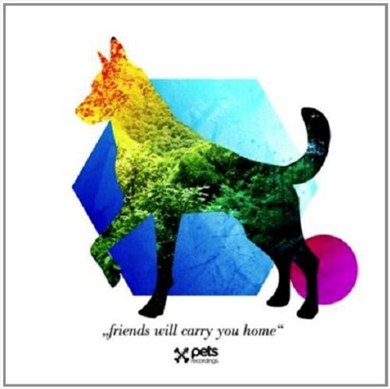 Friends Will Carry You Home/Product Detail/Various