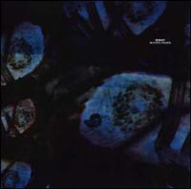 Beautiful Parasite/Product Detail/Dance