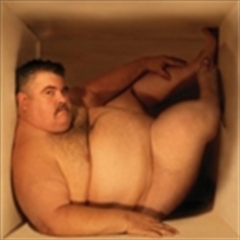 Hefty Fine/Product Detail/Alternative