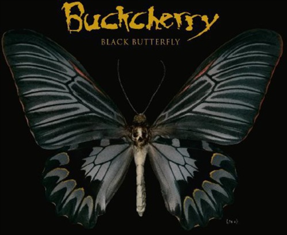 Black Butterfly/Product Detail/Hard Rock