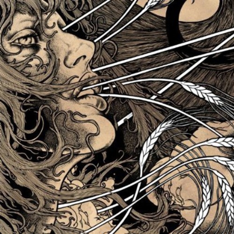 Berkeley Guitar/Product Detail/World