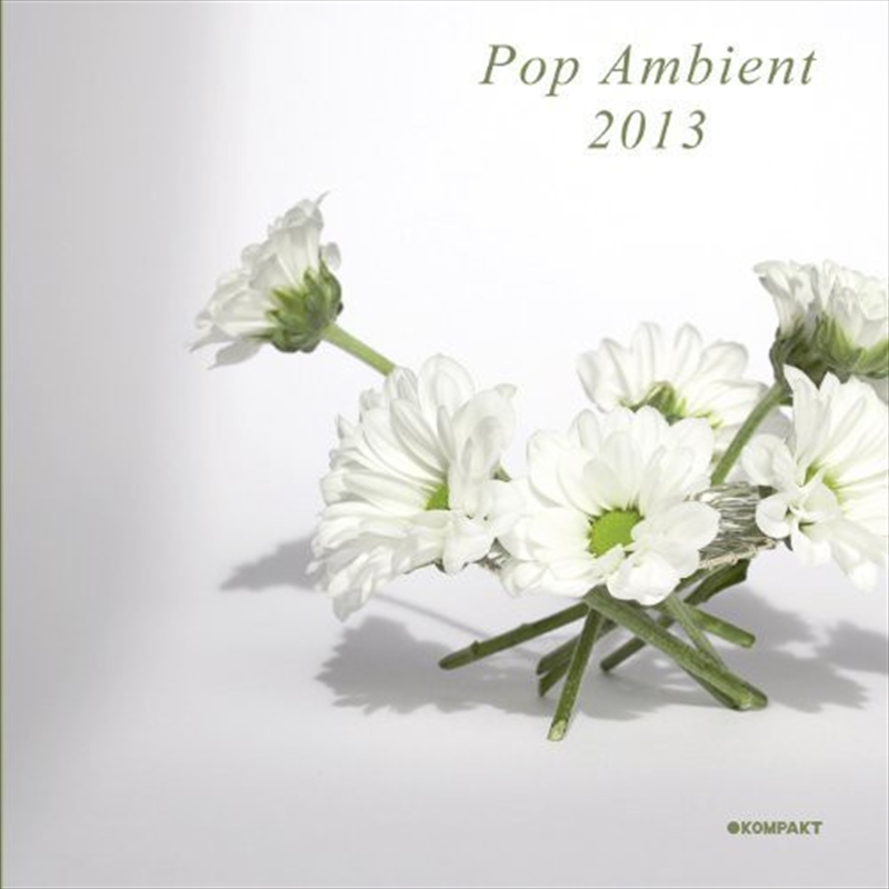Pop Ambient 2013/Product Detail/Various