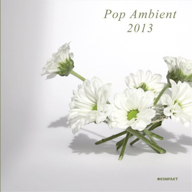 Pop Ambient 2013/Product Detail/Various