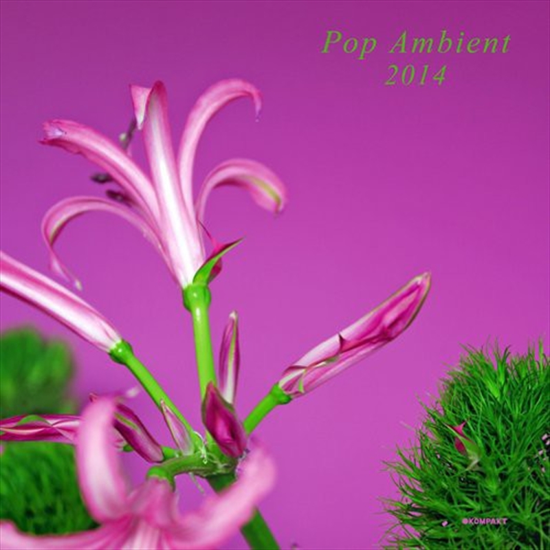 Pop Ambient 2014/Product Detail/Various