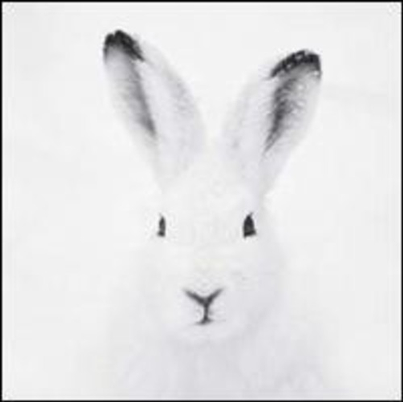 Ballin/Product Detail/Dance