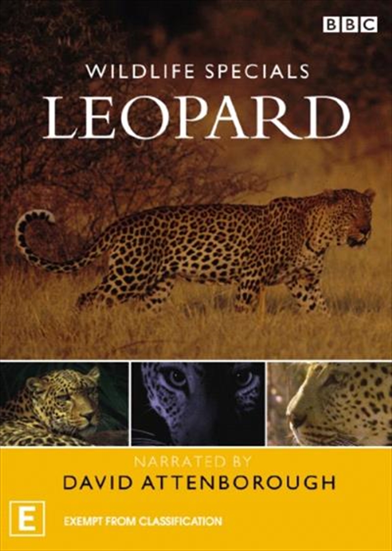 Wildlife Specials - Leopard DVD | Sanity