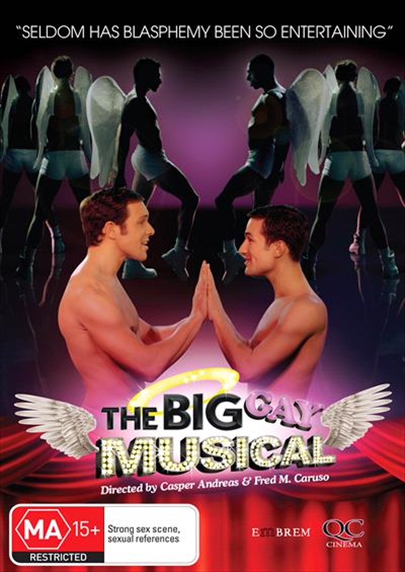 Big Gay Musical, The | DVD