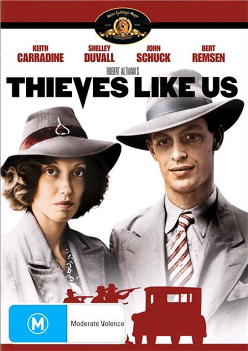 Thieves Like Us/Product Detail/Drama