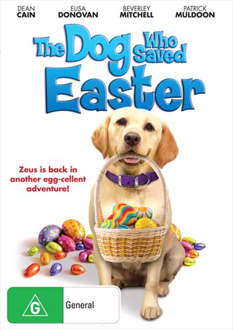 Buy Dog Who Saved Easter on DVD On Sale Now With Fast Shipping