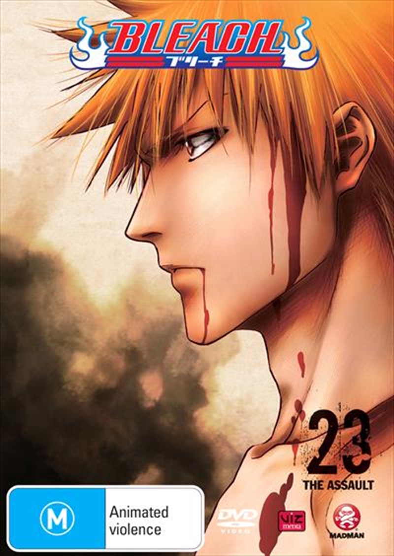 Bleach - Vol 23/Product Detail/Anime