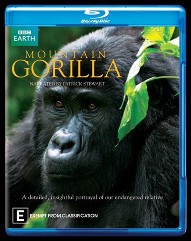 Mountain Gorilla/Product Detail/ABC/BBC