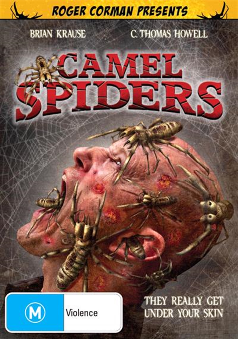 Camel Spiders/Product Detail/Horror
