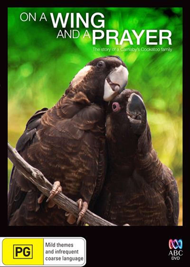On A Wing And A Prayer/Product Detail/Documentary