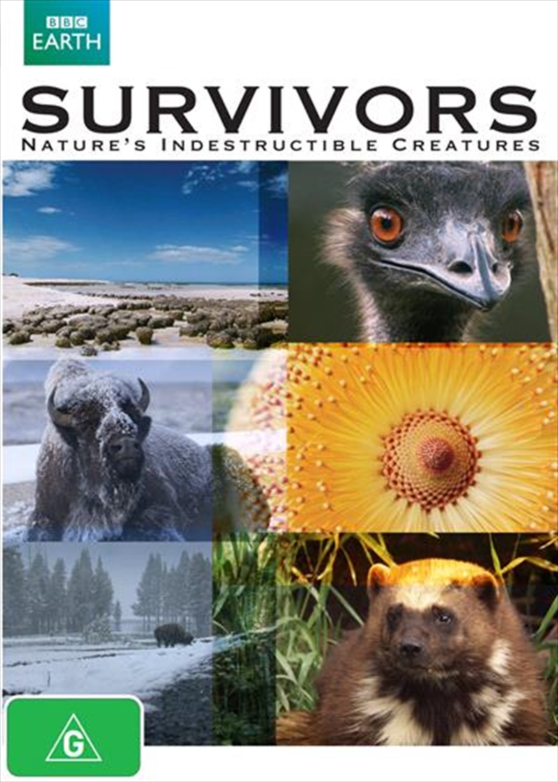 The Survivors/Product Detail/ABC/BBC