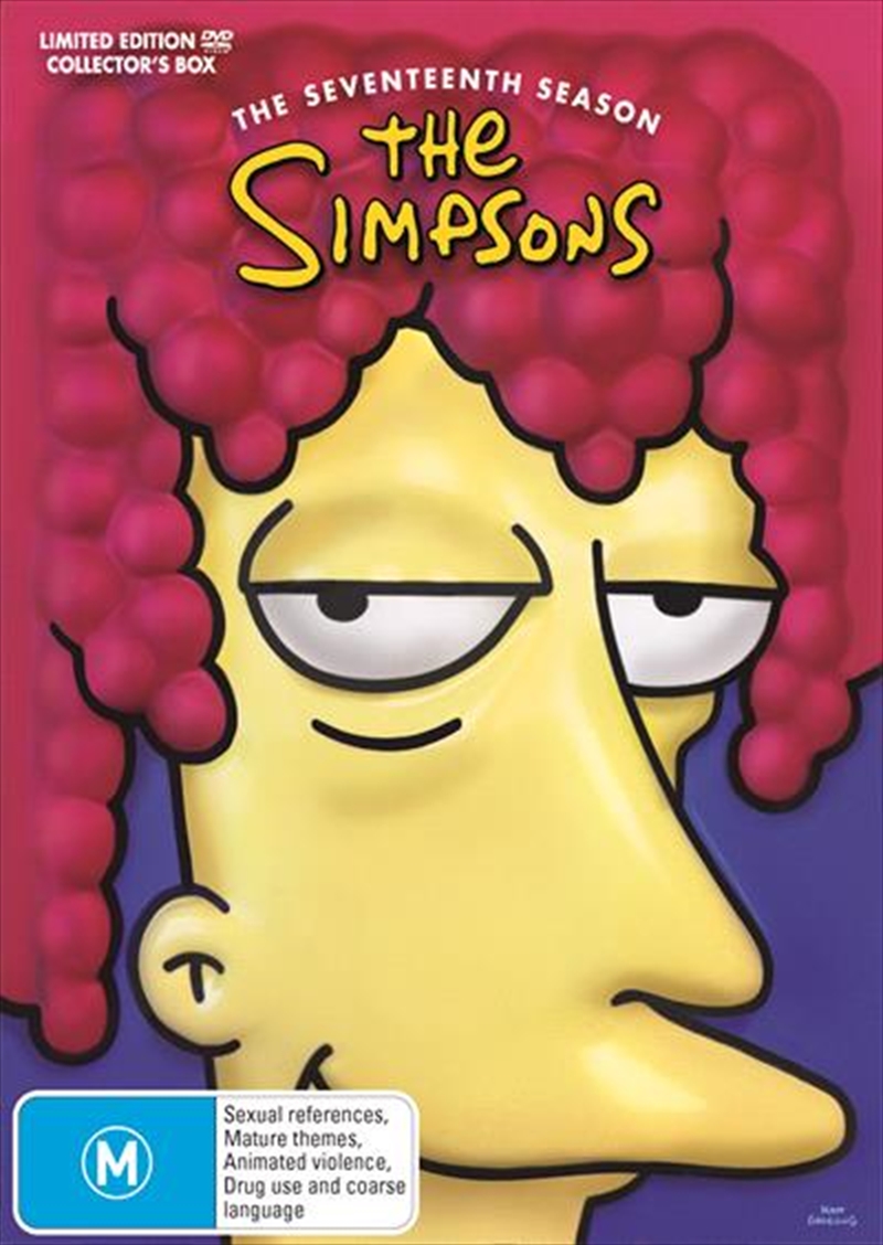 Simpsons - Season 17, The DVD/Product Detail/Animated