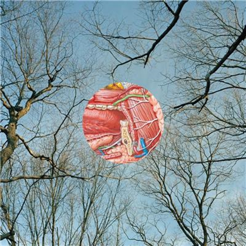 Glean (Deluxe Edition)/Product Detail/Alternative