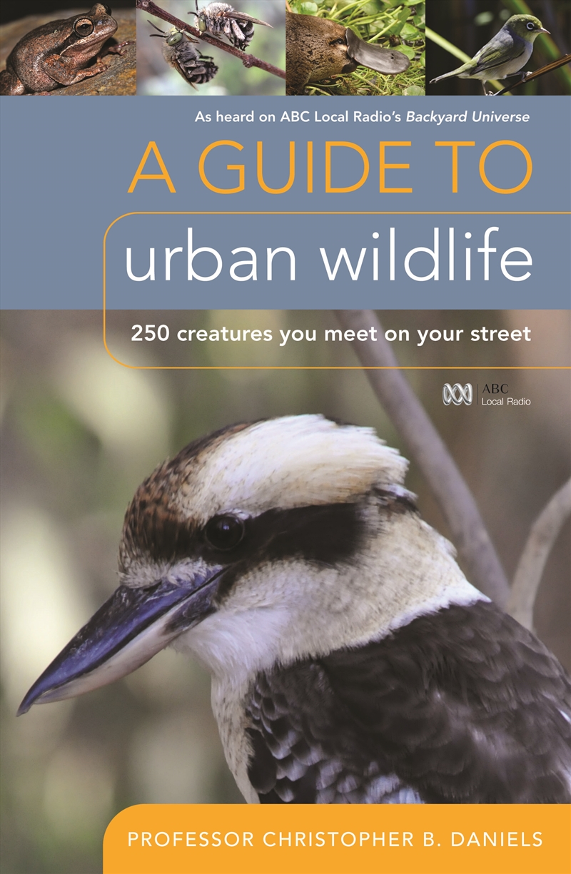 Guide To Urban Wildlife/Product Detail/Adult Books