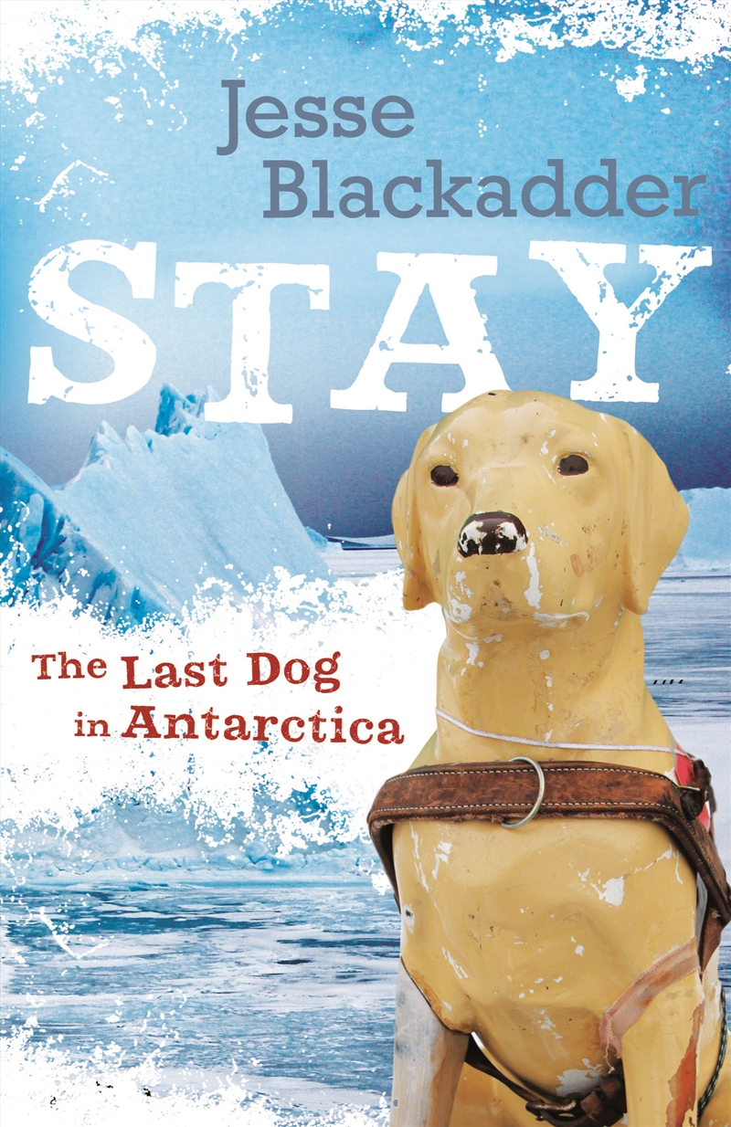 Stay The Last Dog In Antarctica/Product Detail/Childrens Fiction Books