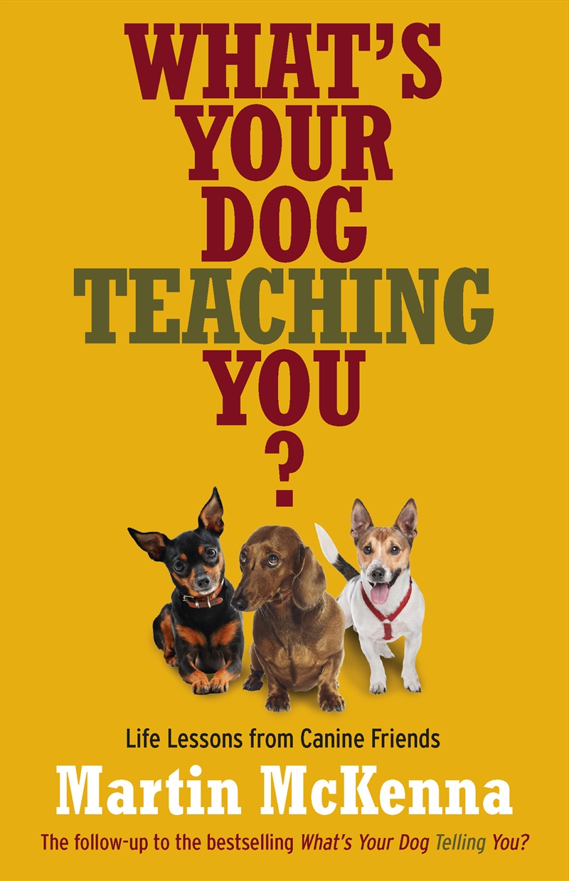 Whats Your Dog Teaching You/Product Detail/Adult Books