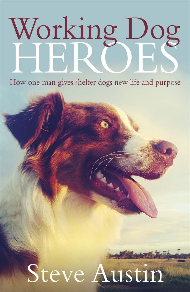 Working Dog Heroes/Product Detail/Reading
