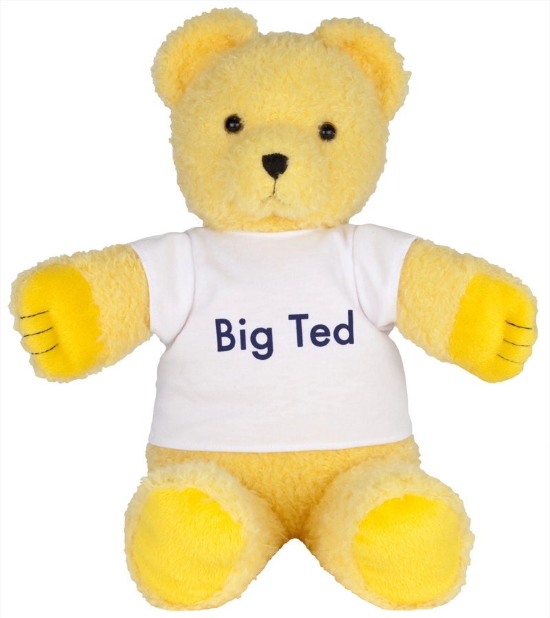 Play School - Big Ted Plush/Product Detail/Plush Toys