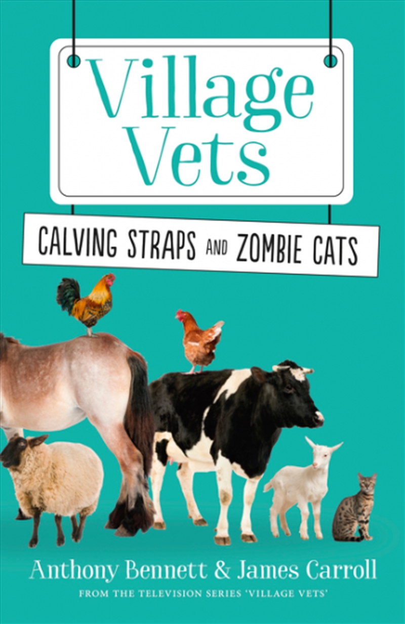 Calving Straps And Zombie Cats/Product Detail/Reading