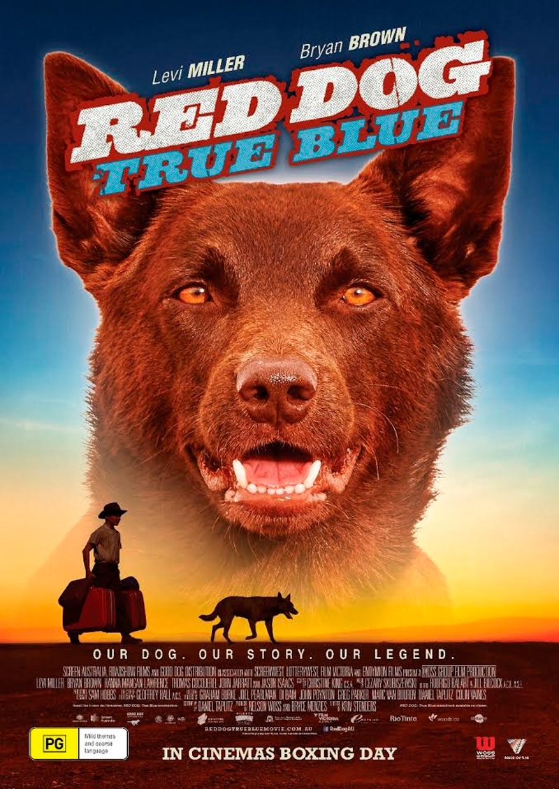 Red Dog: True Blue Future Release, DVD | Sanity