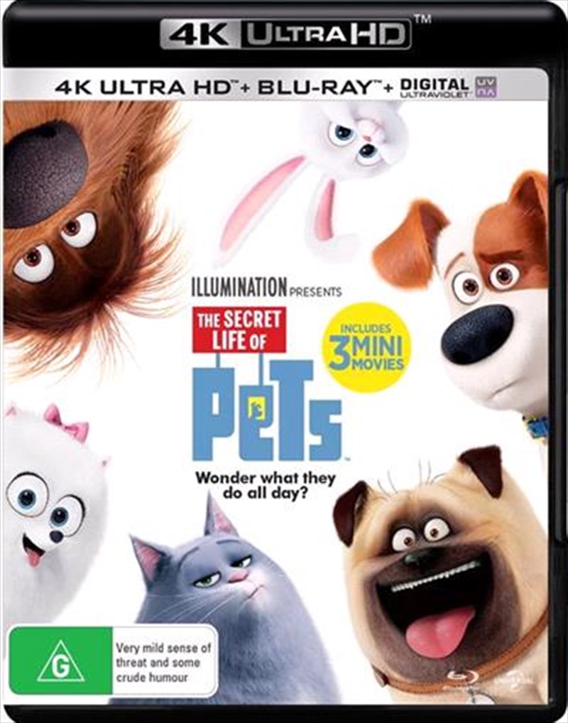 Secret Life Of Pets, The/Product Detail/Animated