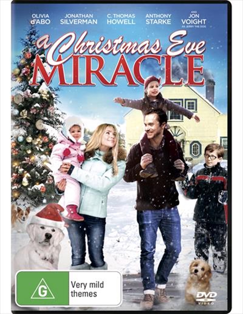 A Christmas Eve Miracle/Product Detail/Comedy