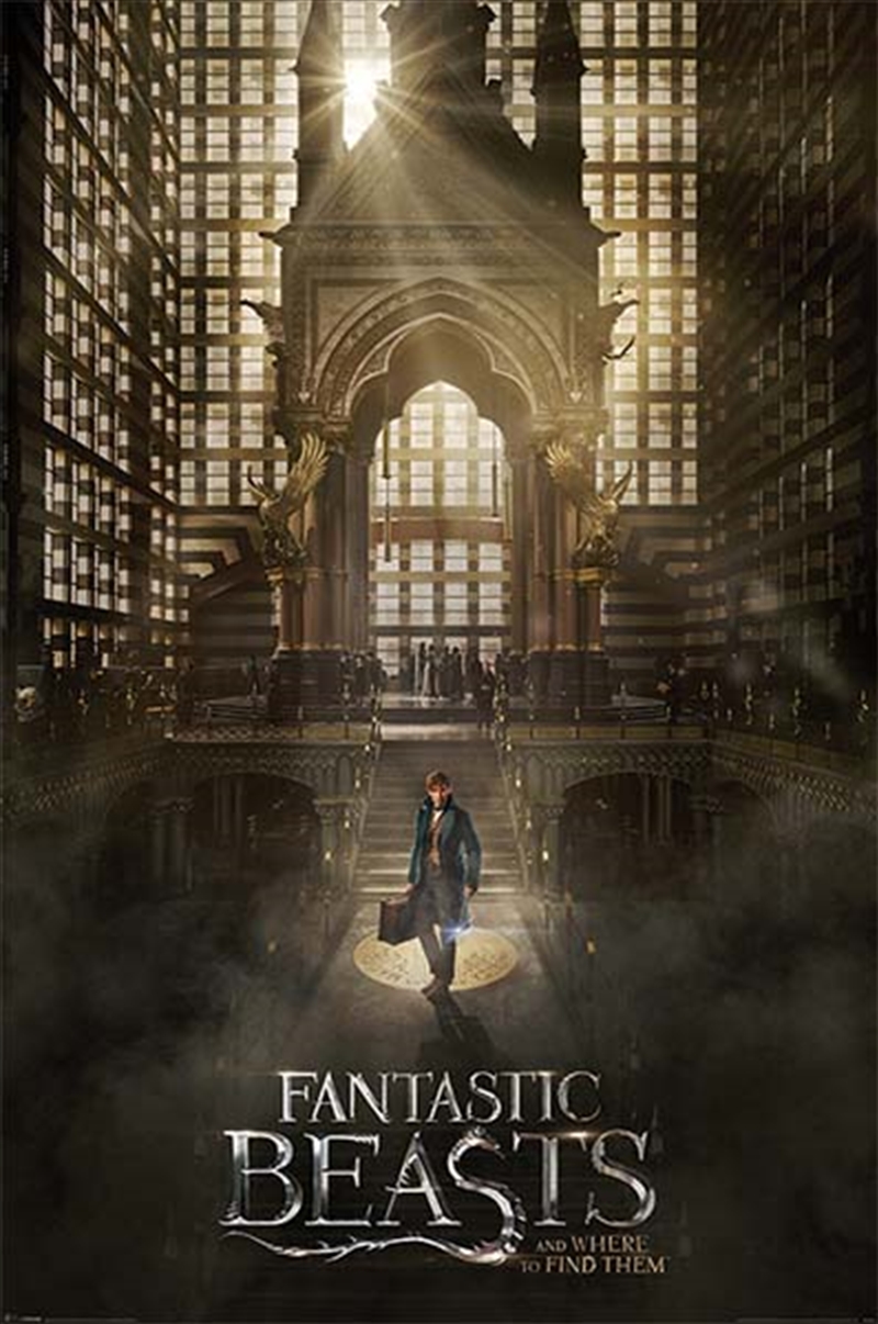 Fantastic Beasts Teaser/Product Detail/Posters & Prints