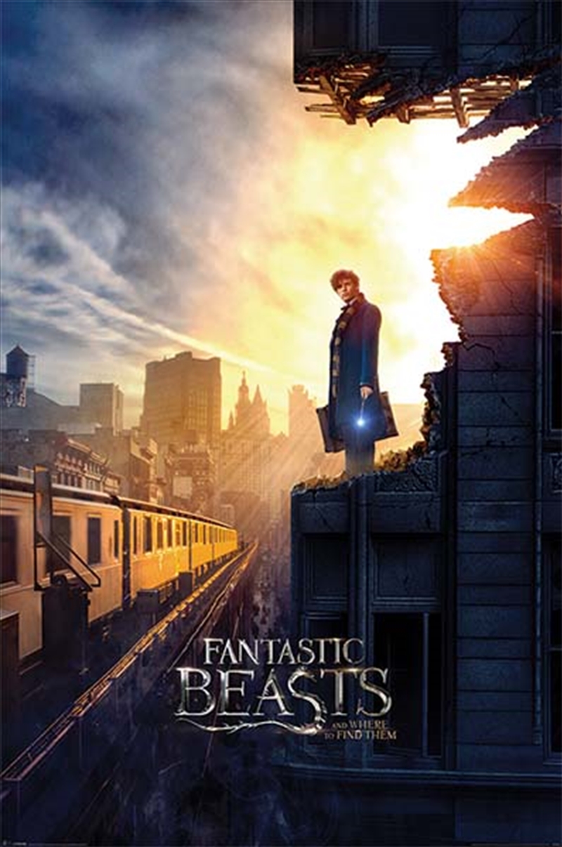 Fantastic Beasts - Dusk/Product Detail/Posters & Prints
