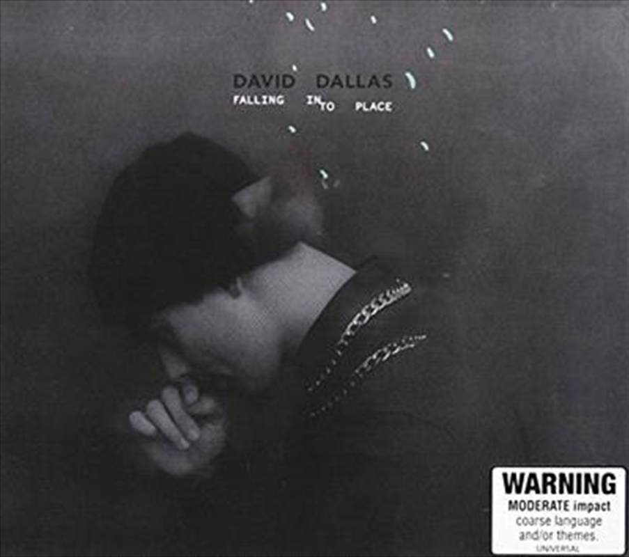 Falling Into Place/Product Detail/Hip-Hop