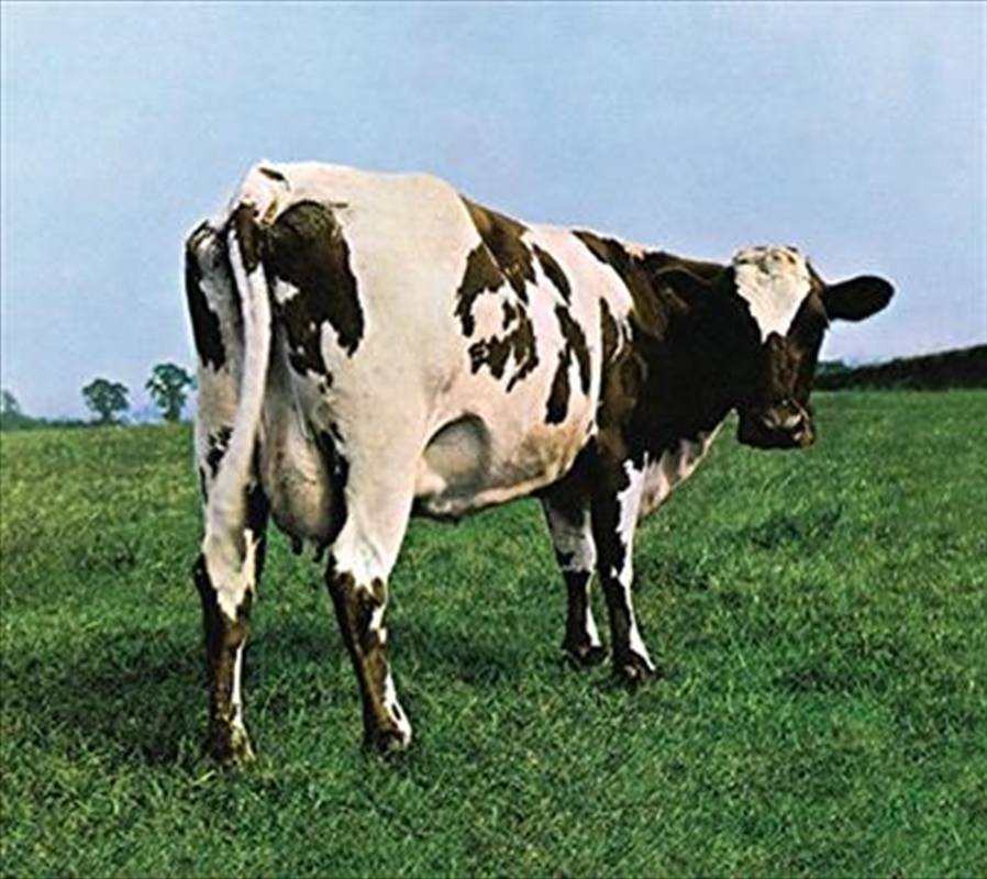 Atom Heart Mother/Product Detail/Rock