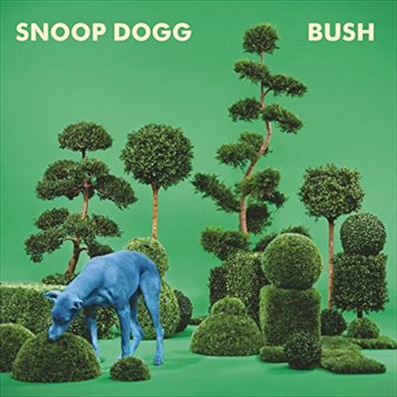 Bush | Vinyl
