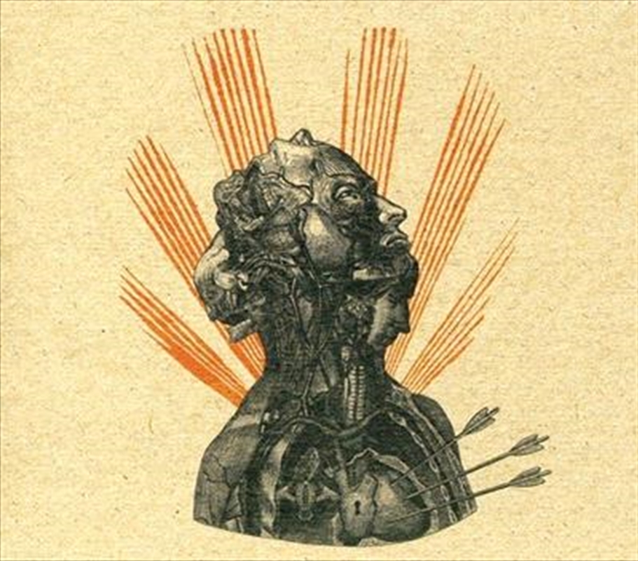 Knots and Tangles/Product Detail/World