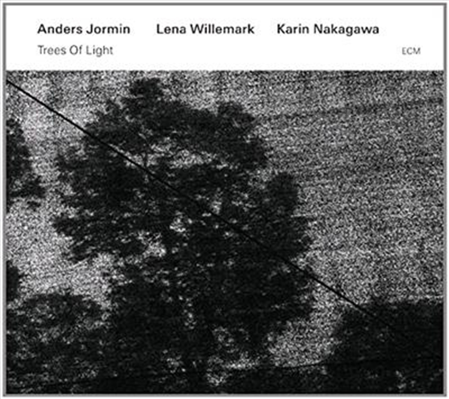 Trees Of Light/Product Detail/Jazz