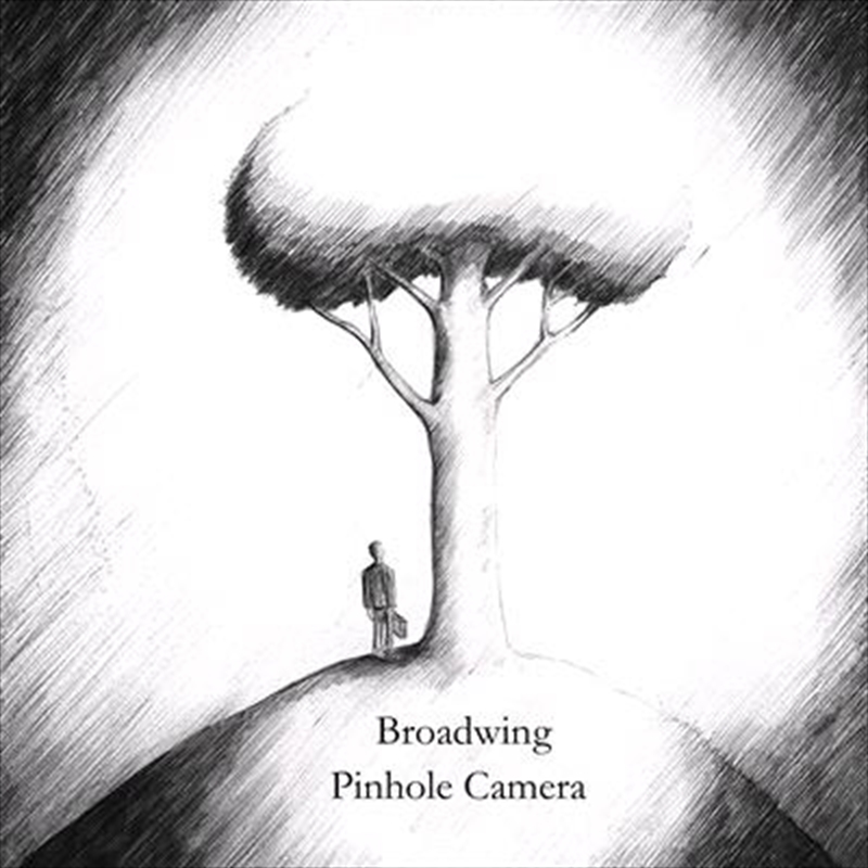 Pinhole Camera/Product Detail/Alternative
