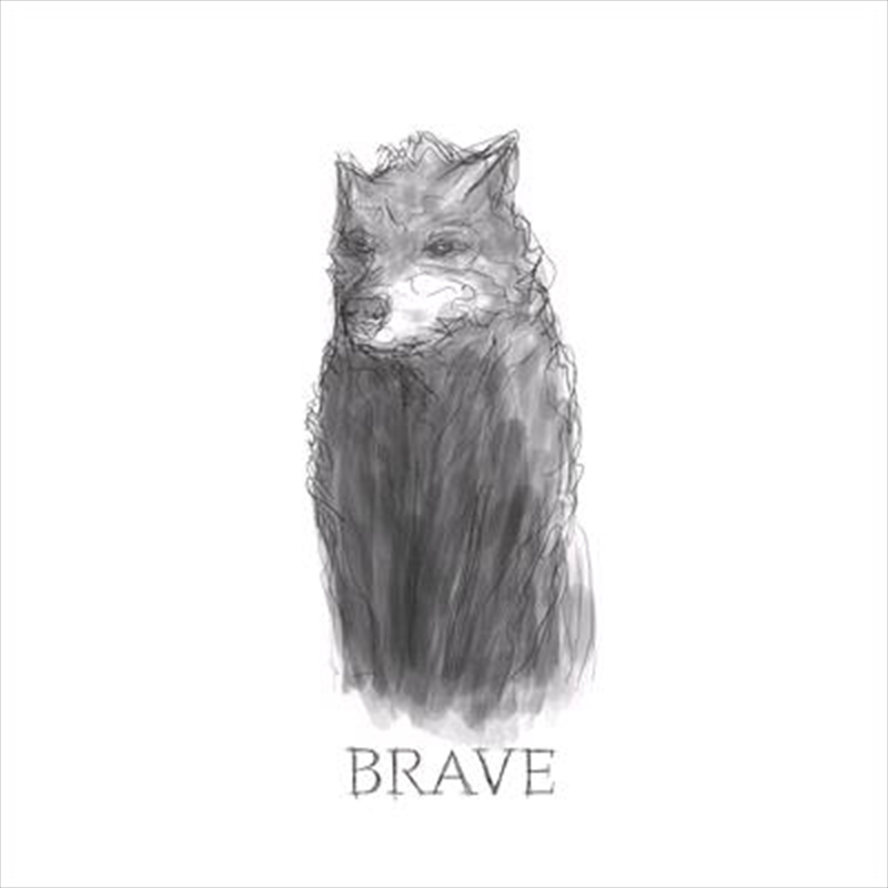 Brave/Product Detail/Alternative