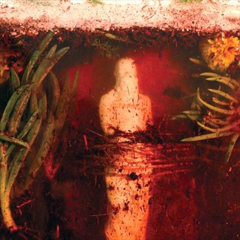 Indifferent Rivers Romance End/Product Detail/Rock/Pop