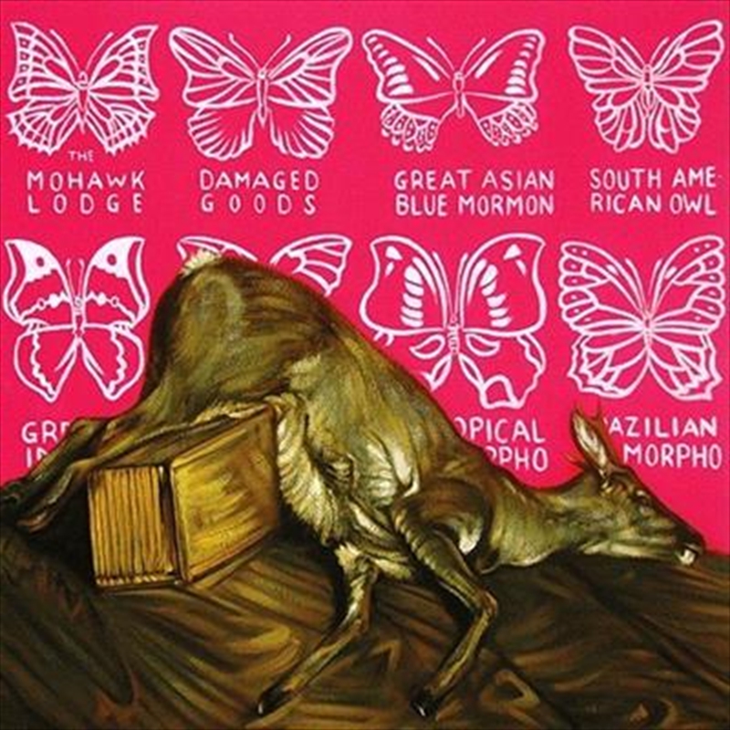 Damaged Goods/Product Detail/Alternative