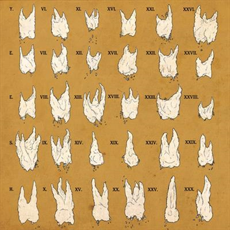 Confirmation Bias/Product Detail/Rock/Pop